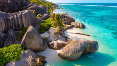 Capital One Credit Card: Benefits, Rewards, And Application Process